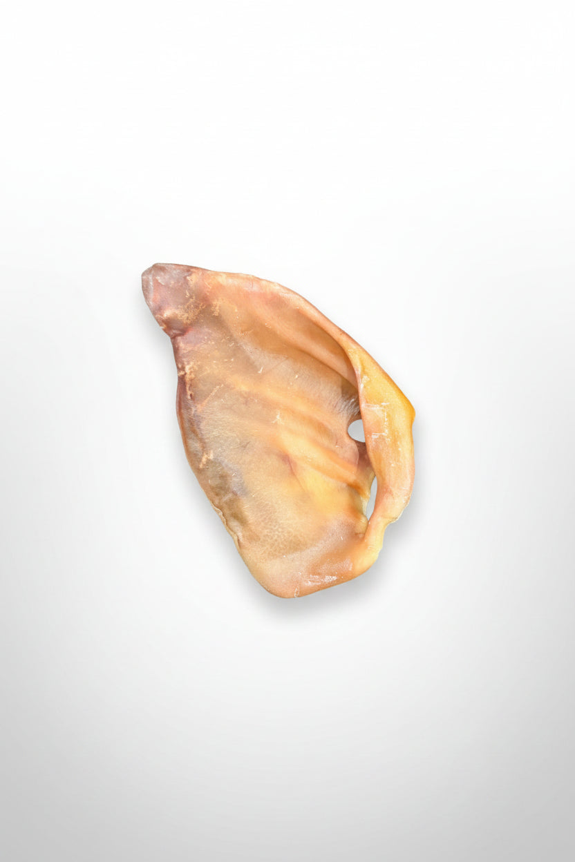 Pork Ears