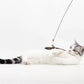 Long Steel Wire Spinning Windmill cat Teaser self-Hi Bell Feather Replacement Head Fishing Style cat Teaser