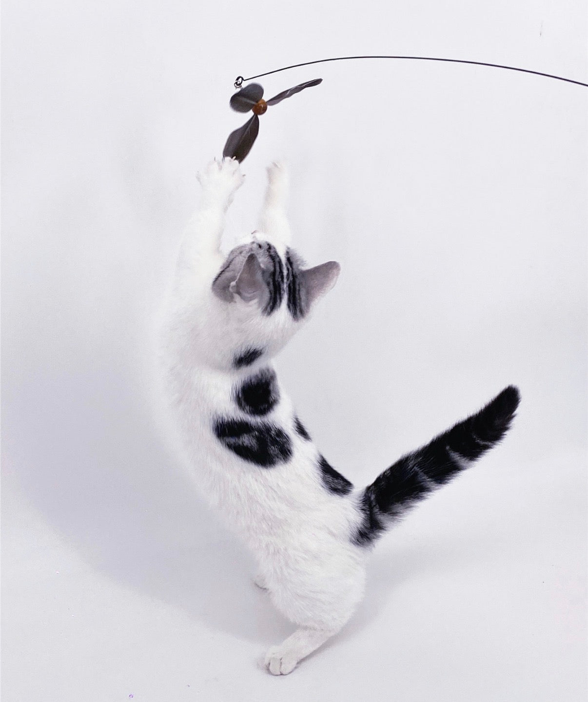 Long Steel Wire Spinning Windmill cat Teaser self-Hi Bell Feather Replacement Head Fishing Style cat Teaser