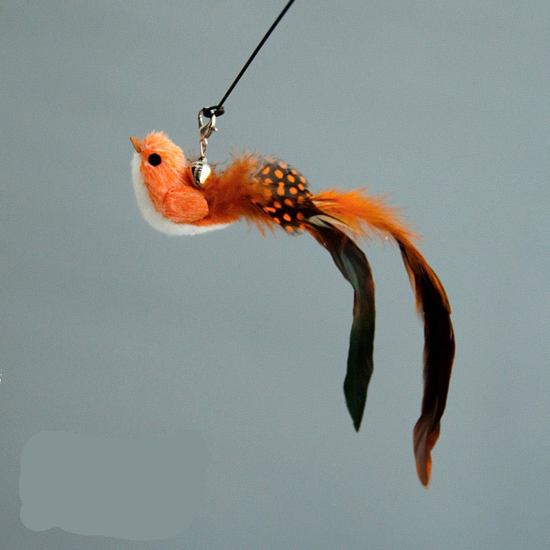 Cat Teaser Attachment - Birds