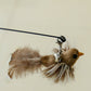 Cat Teaser Attachment - Birds