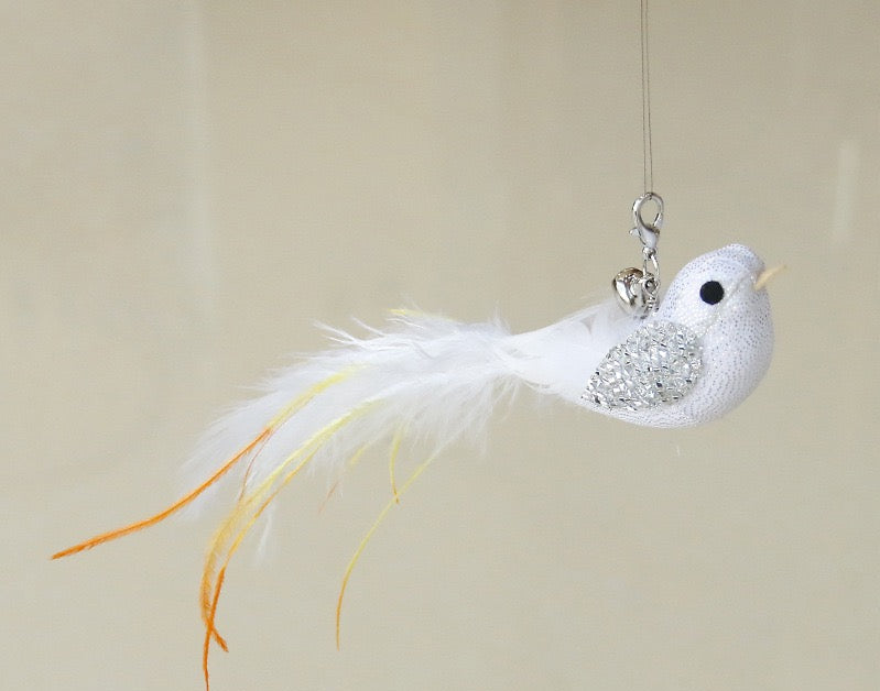 Cat Teaser Attachment - Birds