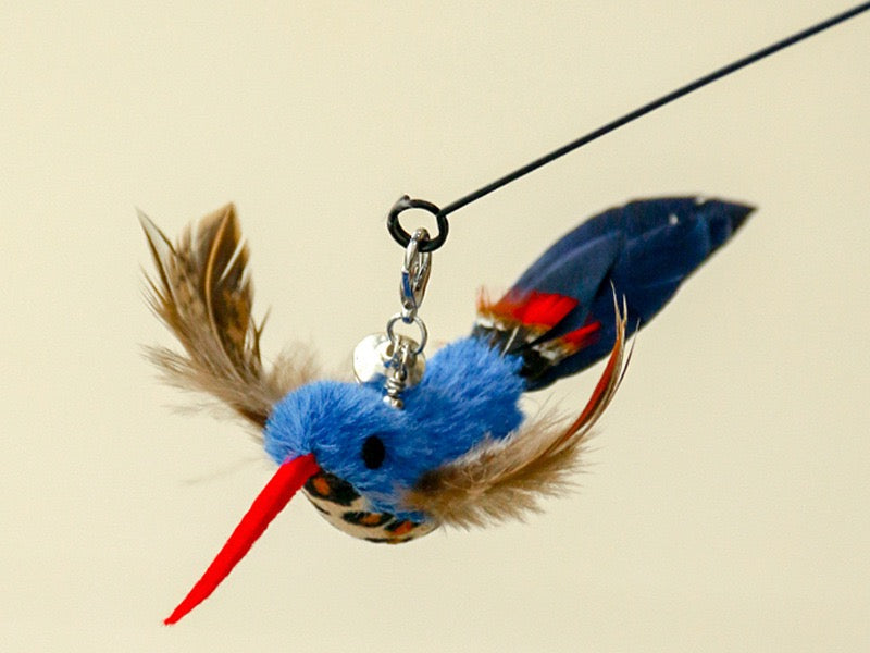 Cat Teaser Attachment - Birds