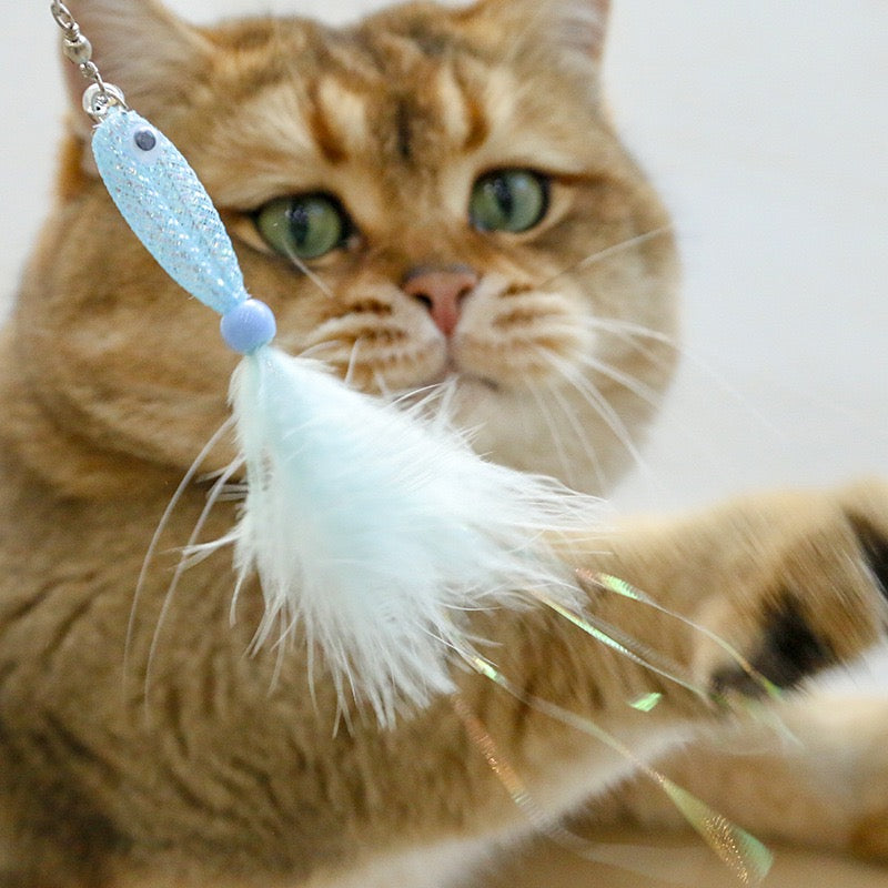 Feathered Fish Cat Teaser