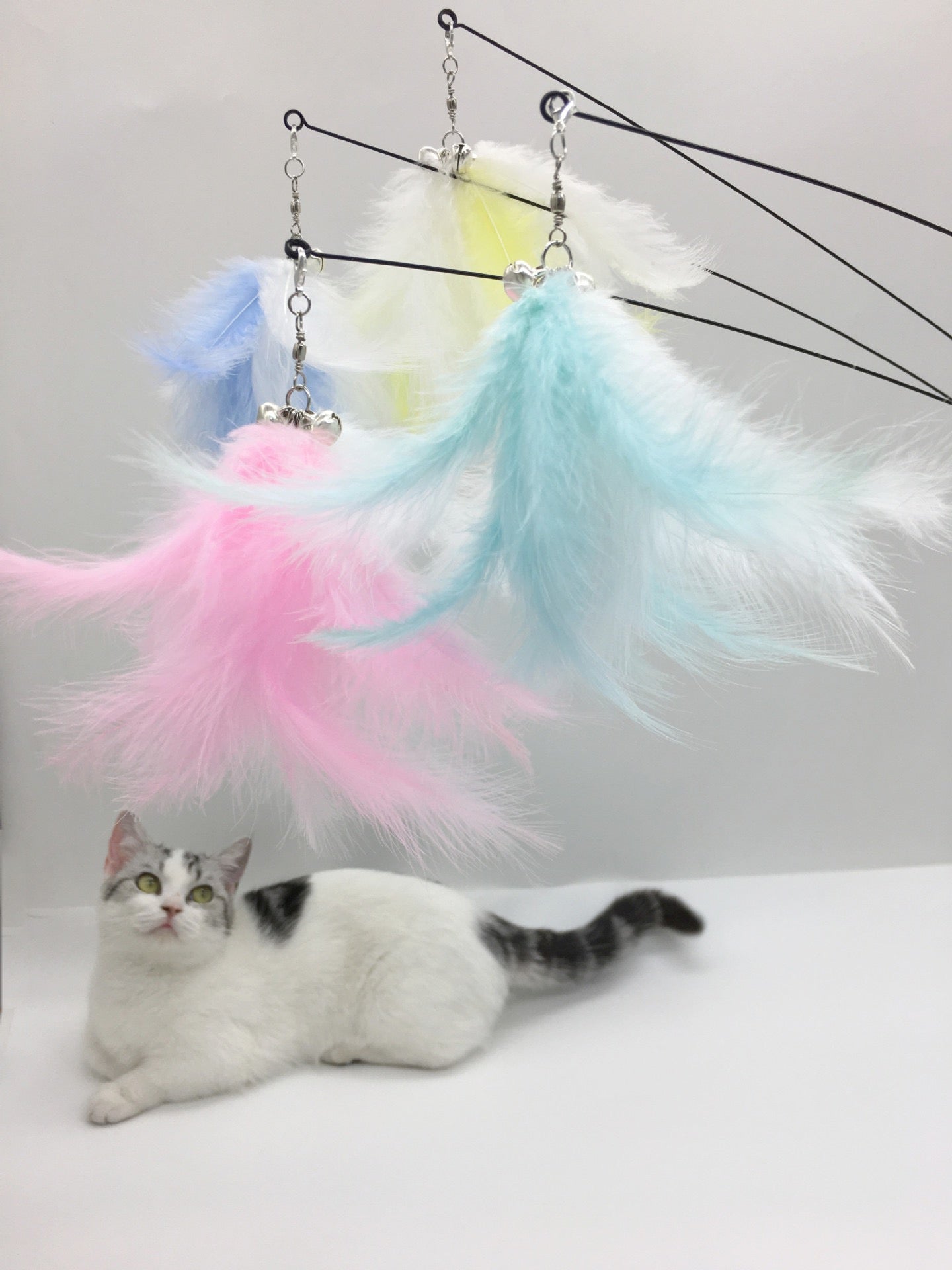 Cat Teaser Attachment - Feather
