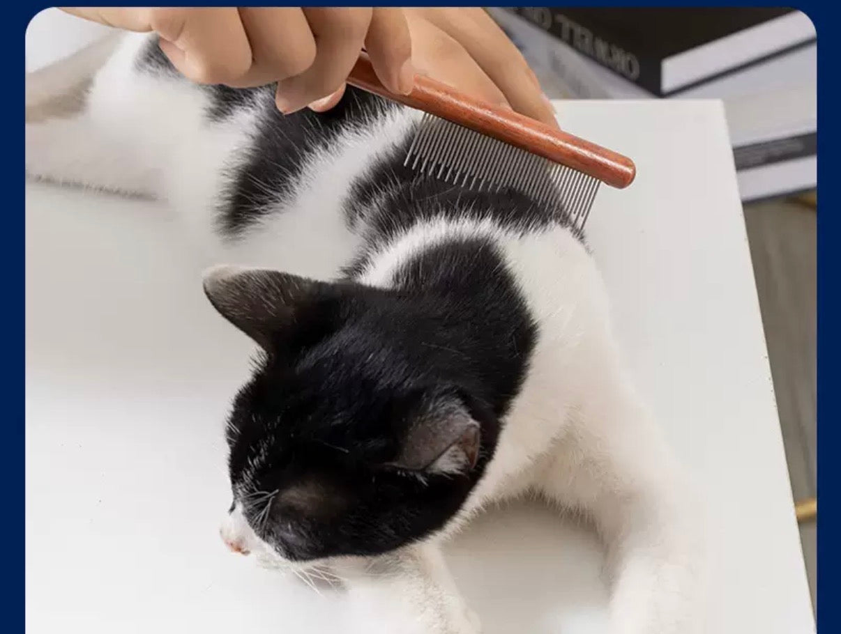 Pet Wooden Comb, Stainless Steel Pin Teeth Comb