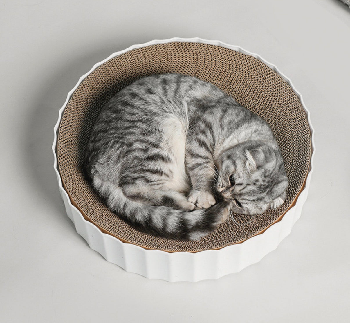Cat Scratching Board - Replaceable Board
