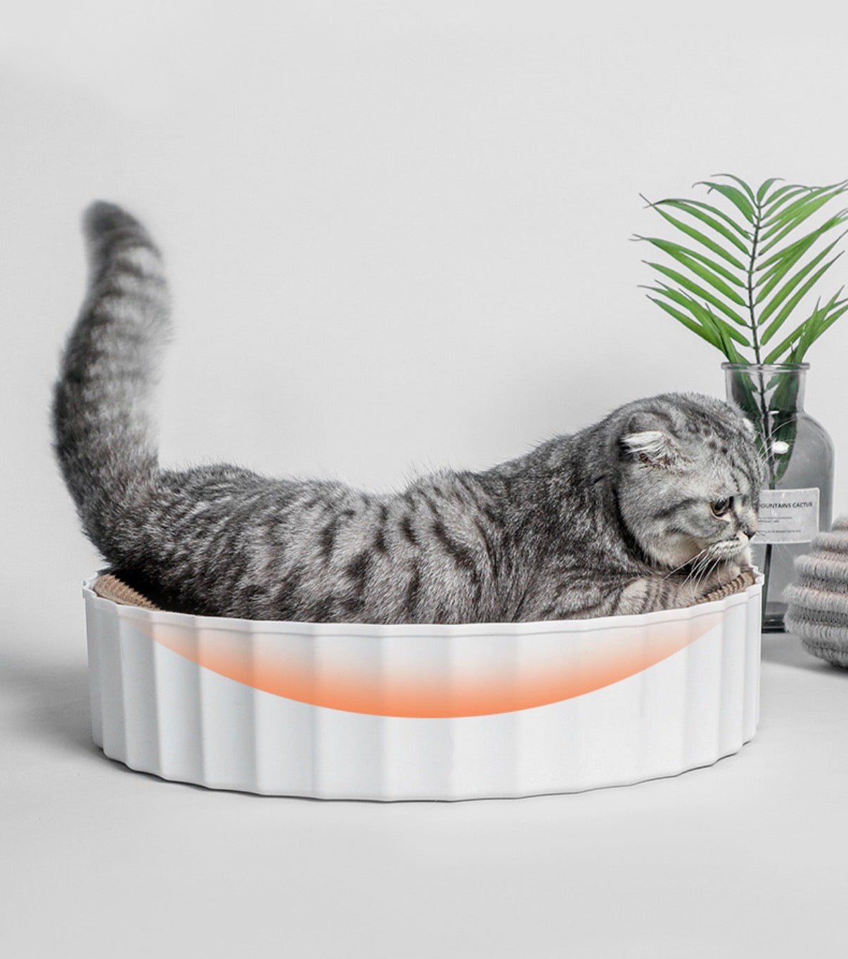 Cat Scratching Board - Replaceable Board