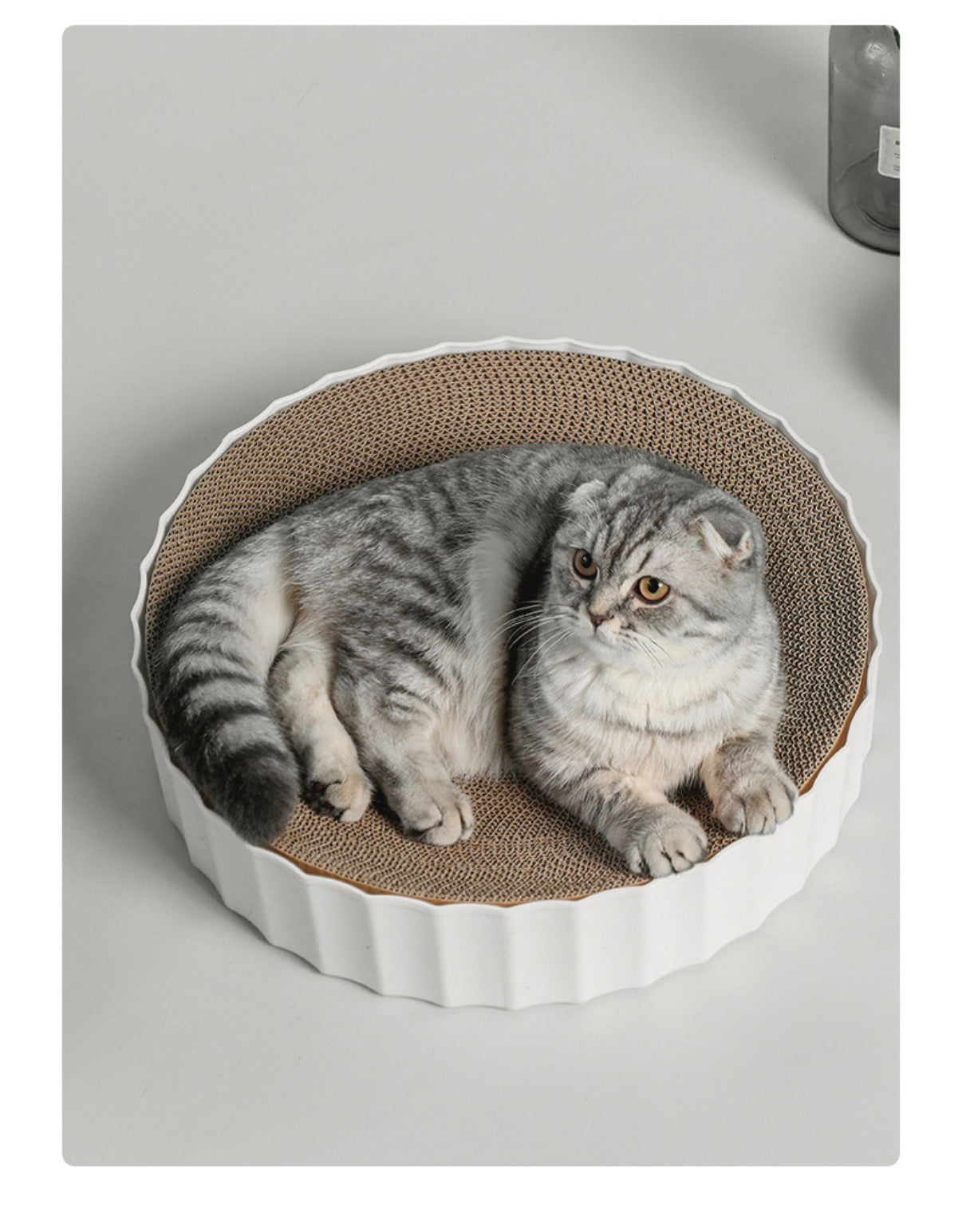 Cat Scratching Board - Replaceable Board