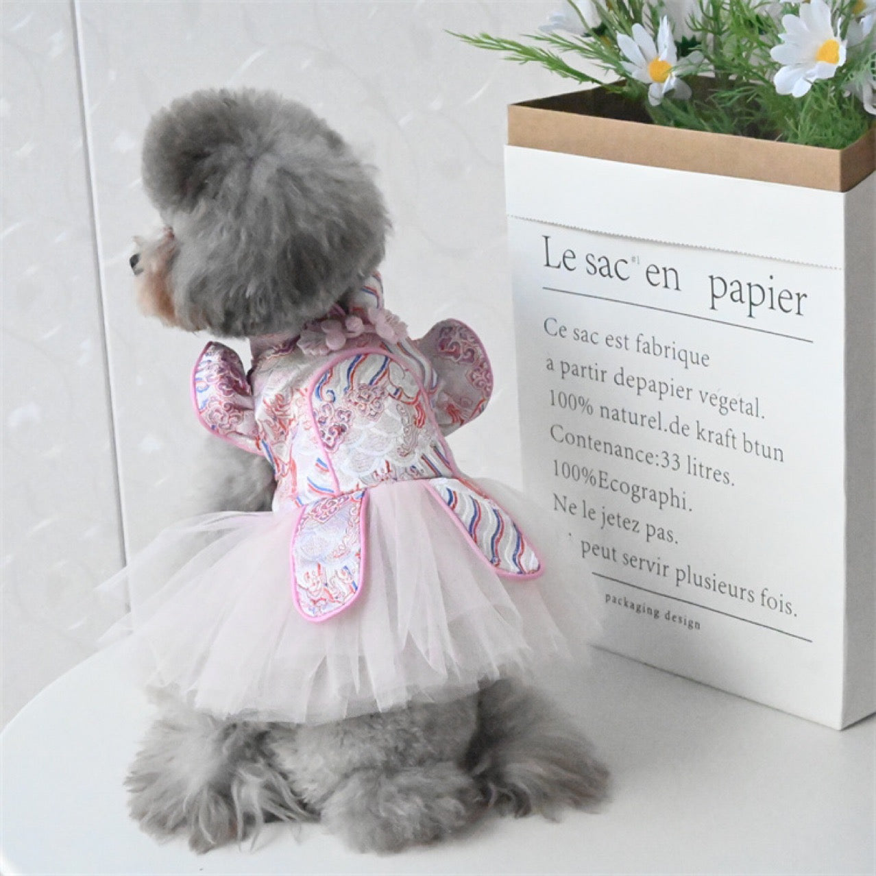 Chinese Spring Festival Lunar New Year Tutu Dress