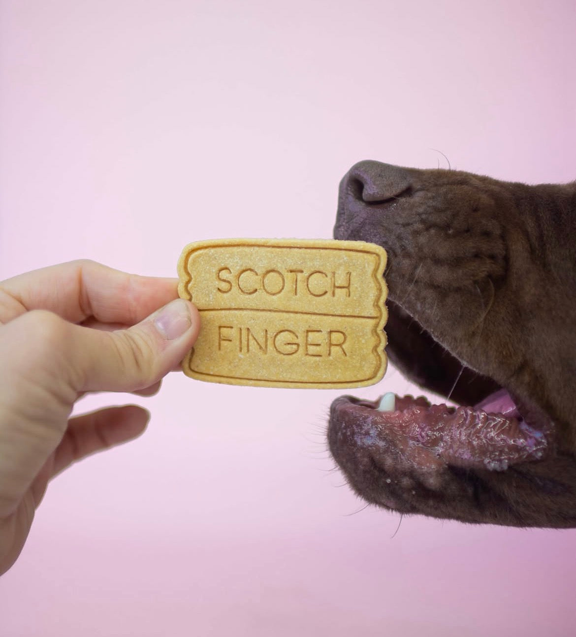 Scotch Finger Coomkies 12pk