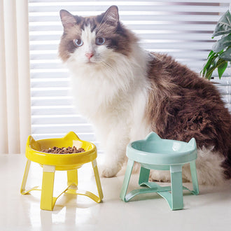 Ceramic Elevated Cat Bowl