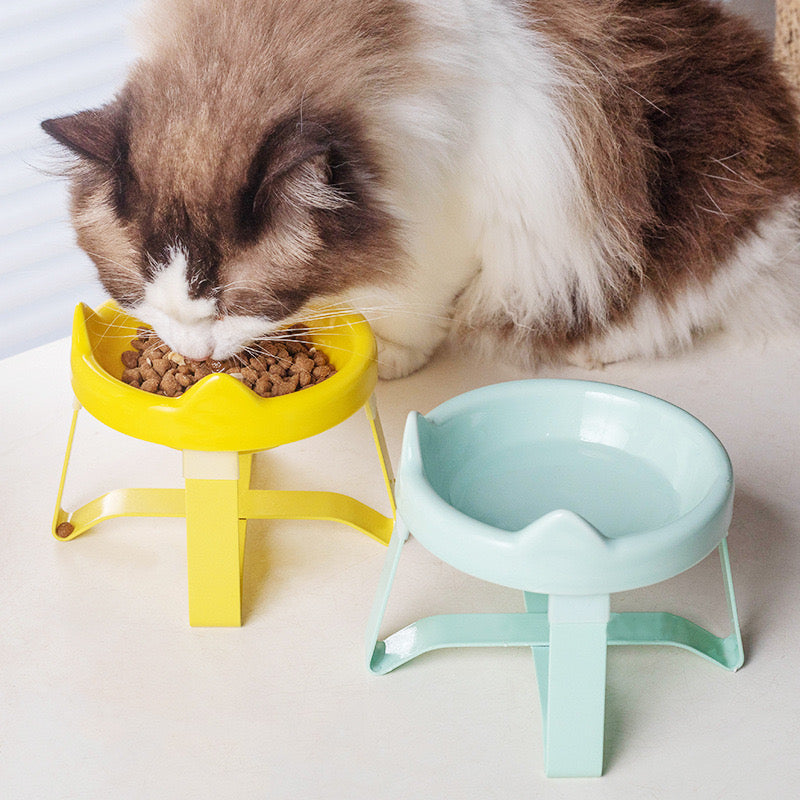 Ceramic Elevated Cat Bowl