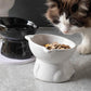 Ceramic Cat Elevated Bowl with a Bell