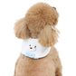 Pet Paradise Cool Bandana 《Polar Bear》