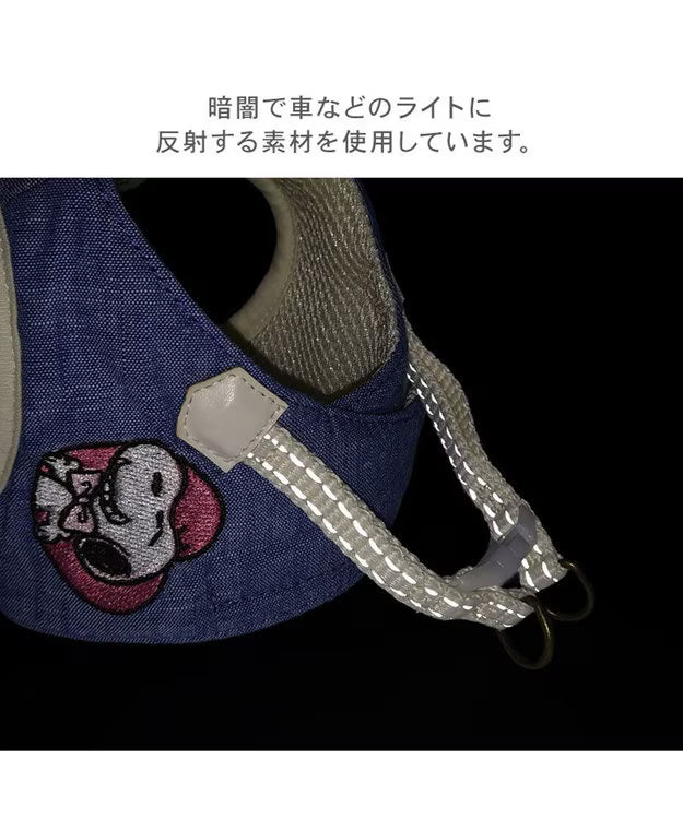 Snoopy Birthday Vest Harness