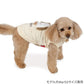 Snoopy Light-Colored Sweatshirt (Beige)