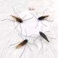 Bugs Cat Teaser – Interactive Feather Wand Toy for Cats