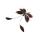 Cat Teaser Attachment - Feather