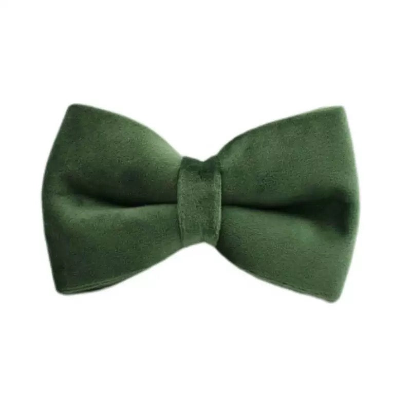 Bowtie 19 colours