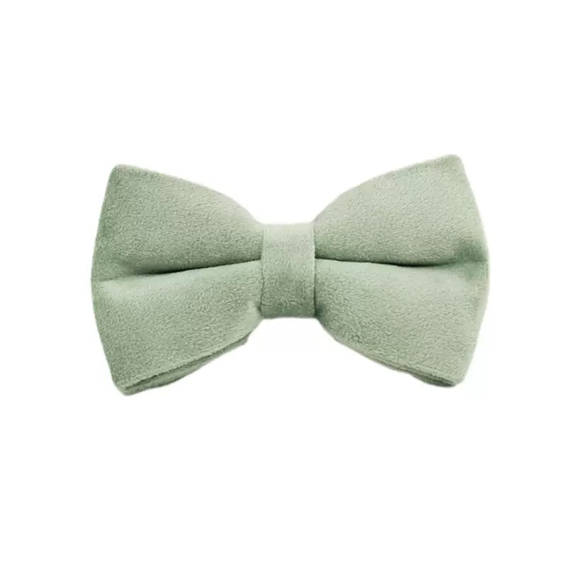 Bowtie 19 colours