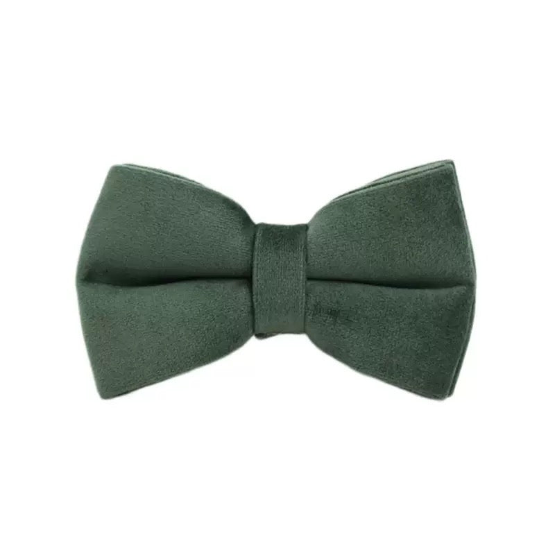 Bowtie 19 colours