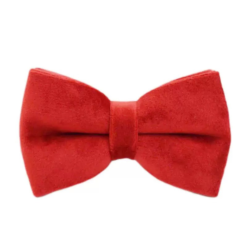 Bowtie 19 colours