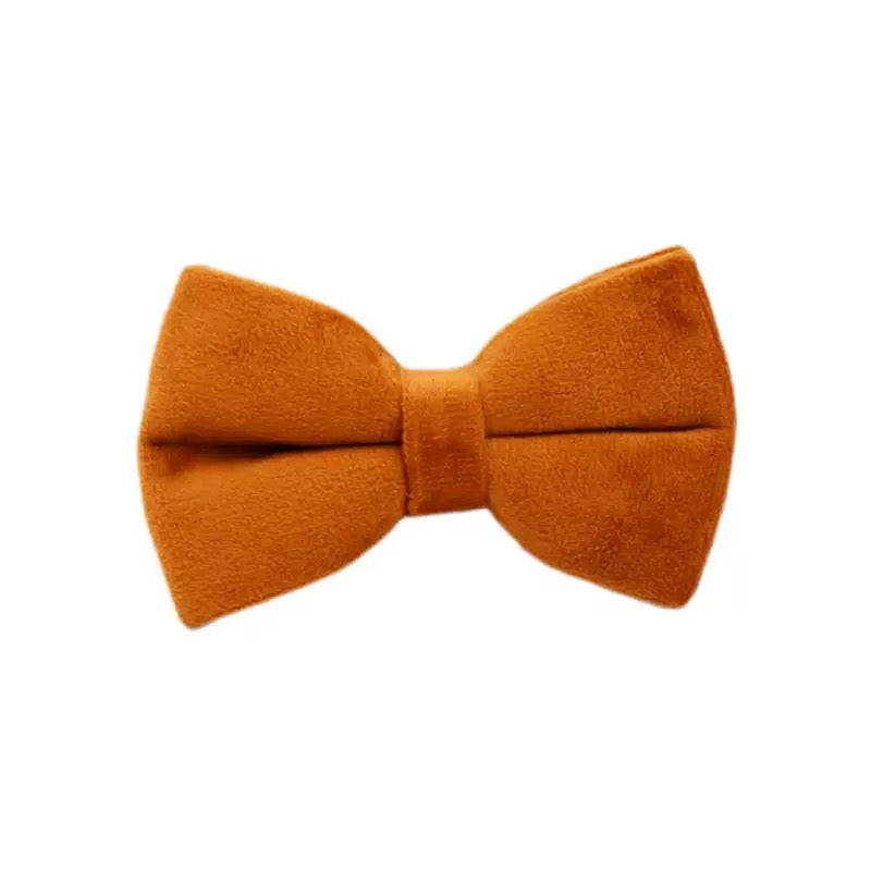 Bowtie 19 colours