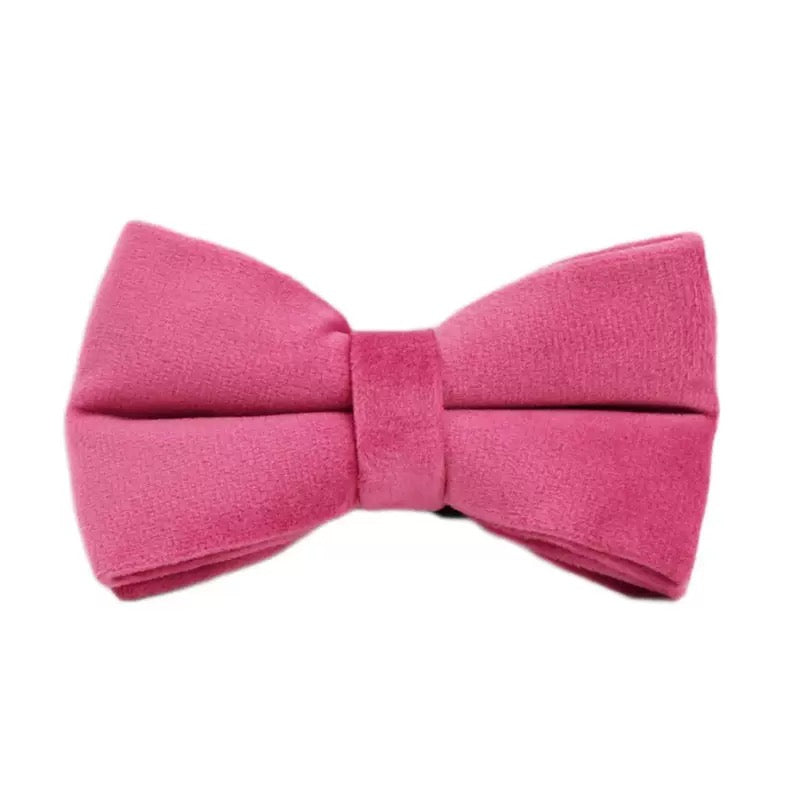 Bowtie 19 colours