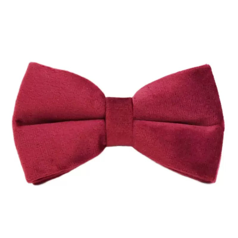Bowtie 19 colours