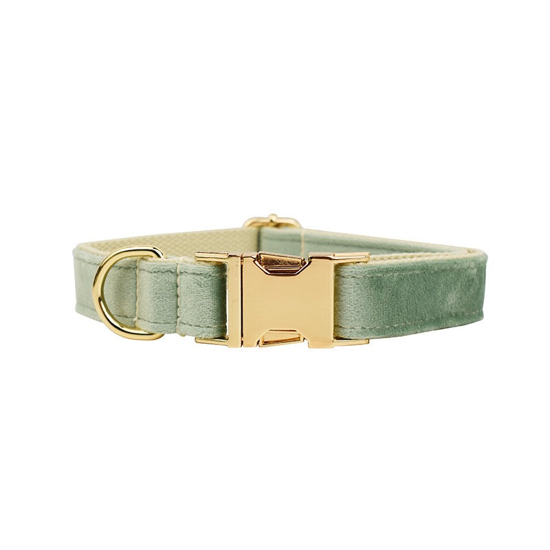 Velvet Collar Leash Bowtie Set 10 Colours