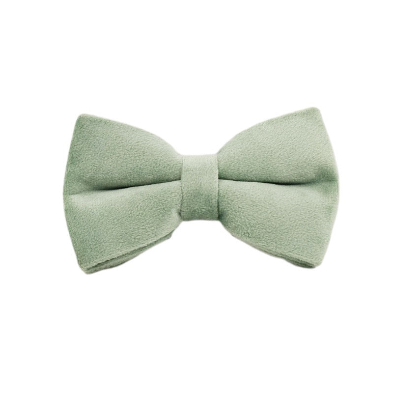 Velvet Collar Leash Bowtie Set 10 Colours
