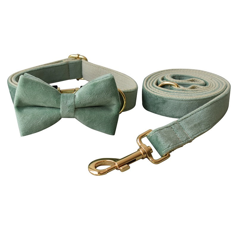 Velvet Collar Leash Bowtie Set 10 Colours