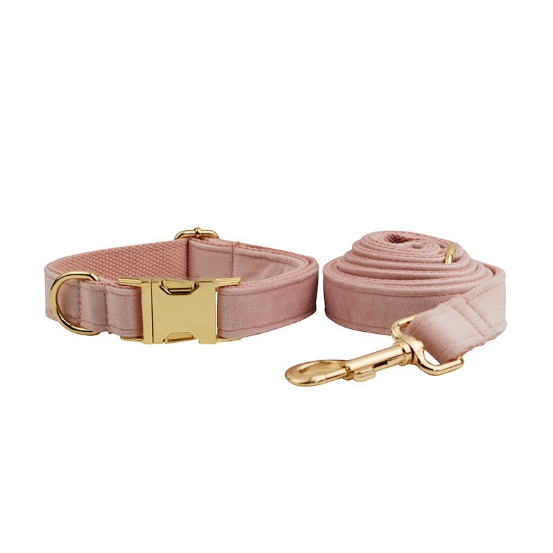 Velvet Collar Leash Bowtie Set 10 Colours