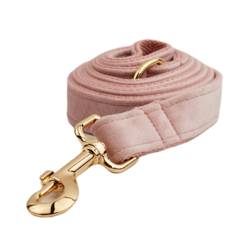 Velvet Collar Leash Bowtie Set 10 Colours