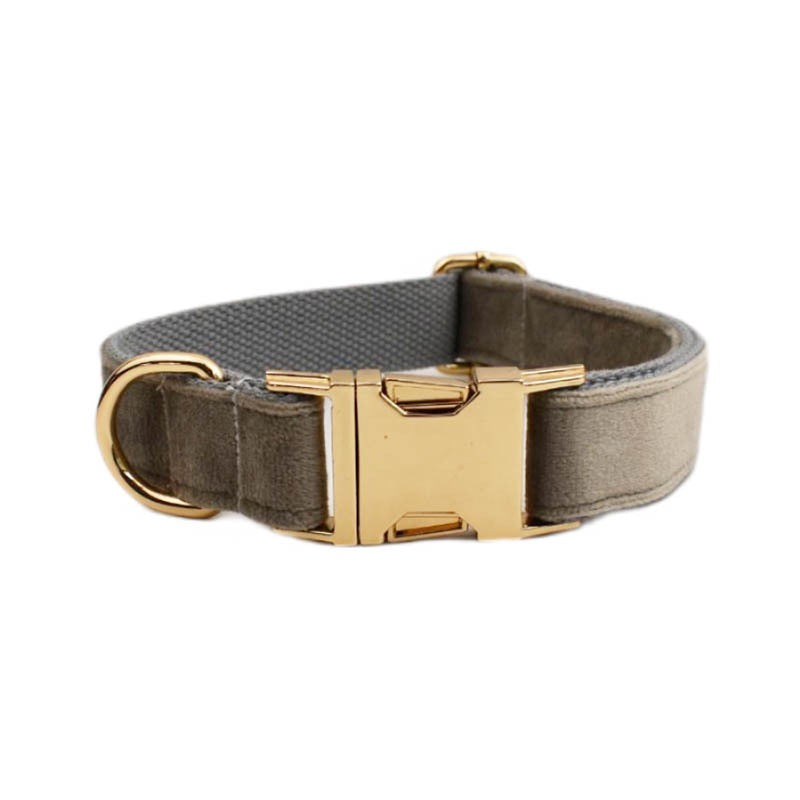 Velvet Collar Leash Bowtie Set 10 Colours