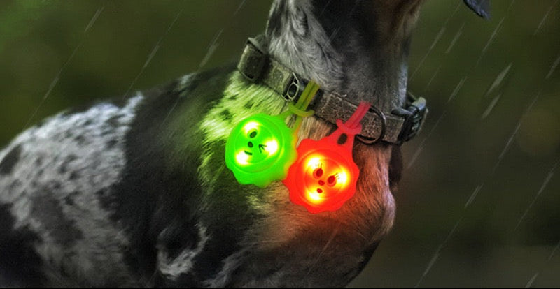Glow Pup Dog Walking Safety Light Blinker