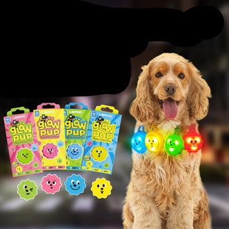 Glow Pup Dog Walking Safety Light Blinker