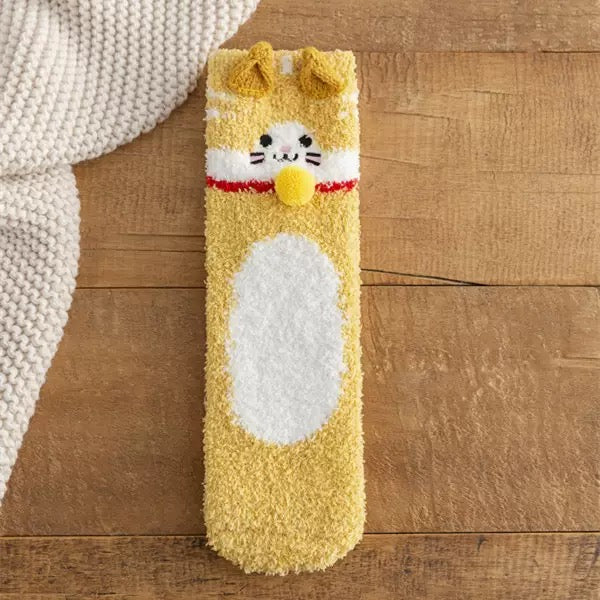 Socks for Hoomans Dog and Cat