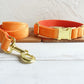 Orange Velour Collar Leash Bowtie