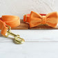 Orange Velour Collar Leash Bowtie