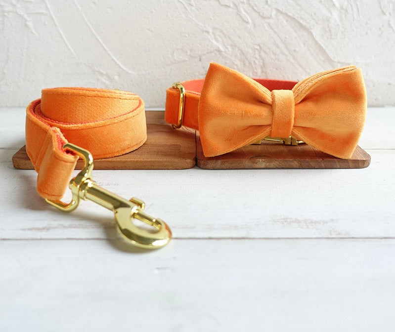 Orange Velour Collar Leash Bowtie