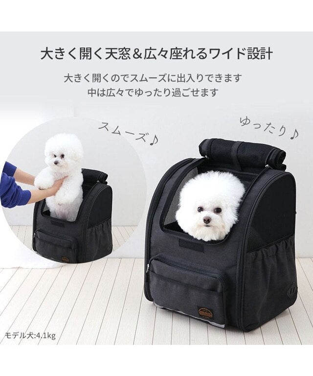 Folding House Backpack