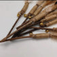 Silvervine Dental Stick with Feather Toy