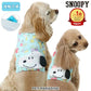 cool vest, Snoopy, ice pack,  cool to the touch, pocket cool, refreshing, for walks