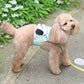 cool vest, Snoopy, ice pack,  cool to the touch, pocket cool, refreshing, for walks