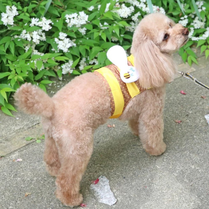 cool vest, Bee, ice pack,  cool to the touch, pocket cool, refreshing, for walks