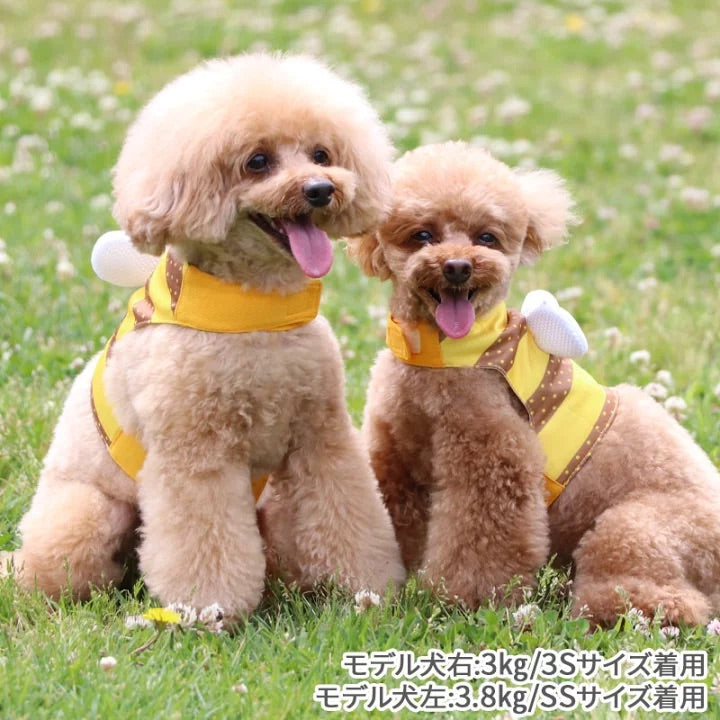 cool vest, Bee, ice pack,  cool to the touch, pocket cool, refreshing, for walks