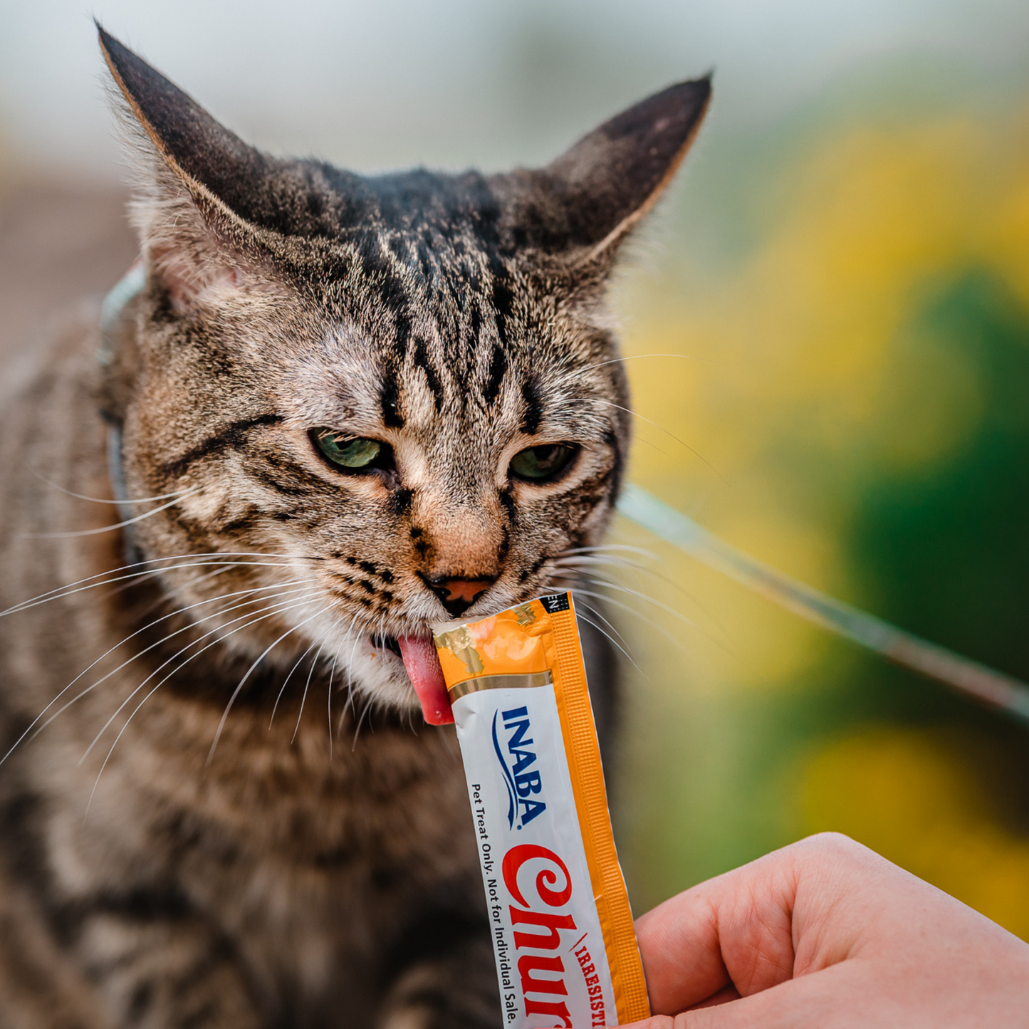 Inaba Churu Puree for Cats Tuna & Salmon 56g