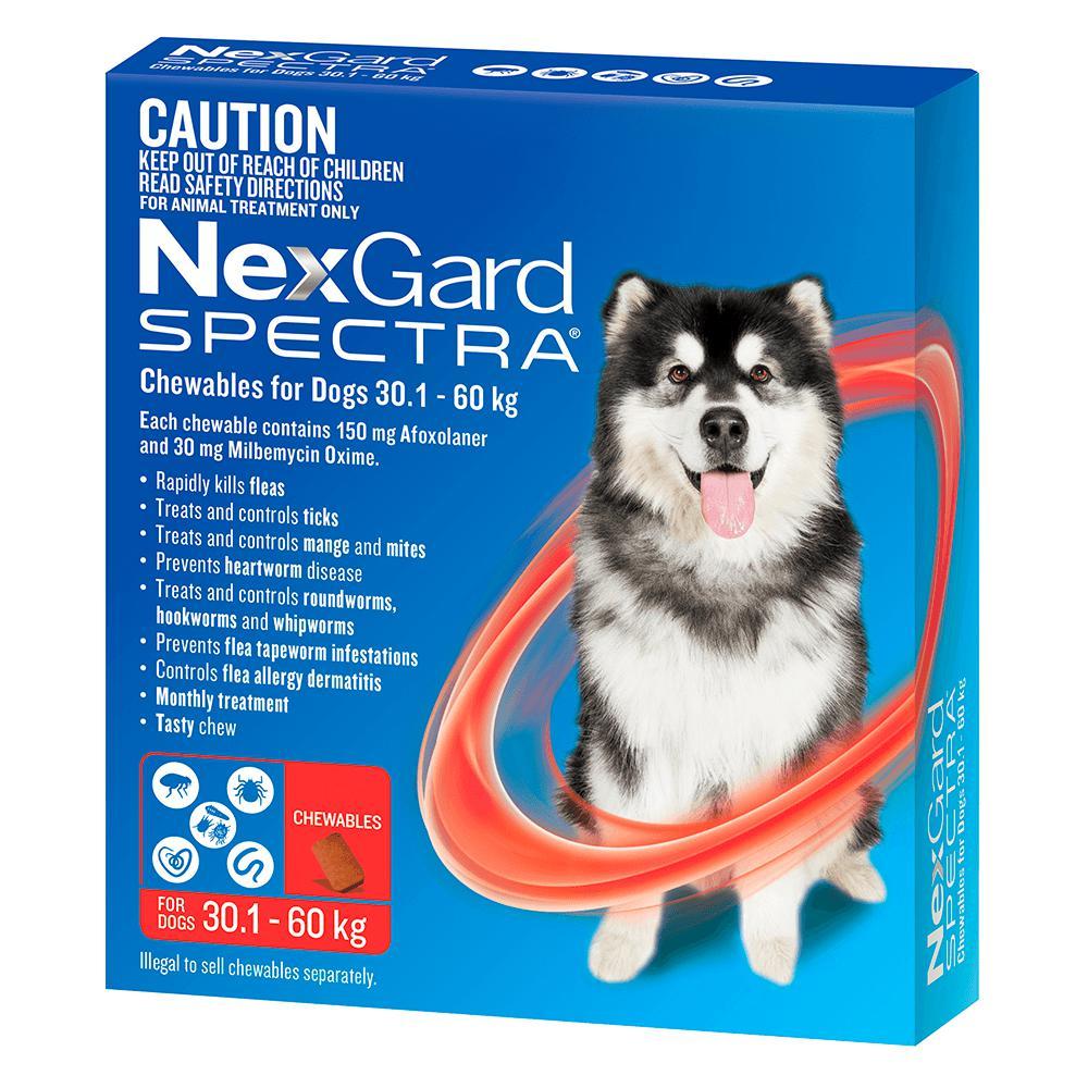 NexGard Dog SPECTRA | Flea, Heartworm, Flea, Tick, Intestinal Worm, and Mite Protection